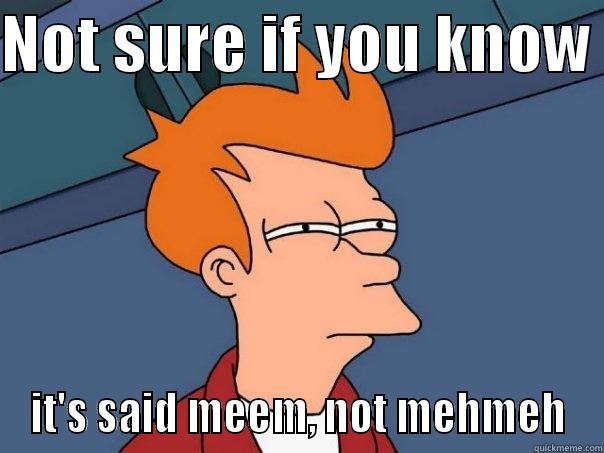 For Jeya - NOT SURE IF YOU KNOW  IT'S SAID MEEM, NOT MEHMEH Futurama Fry