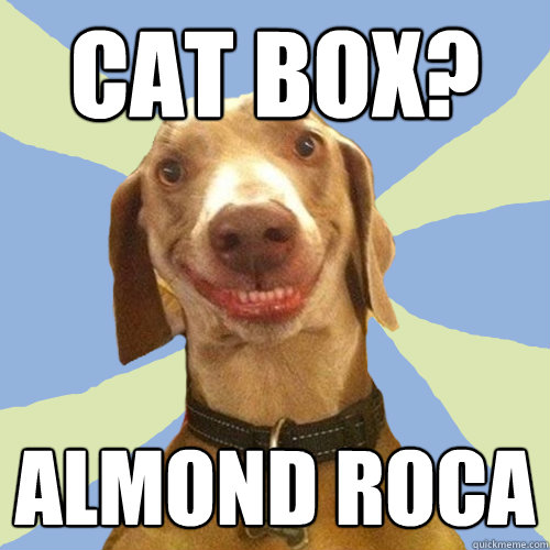 Cat box? Almond Roca  Disgusting Doggy