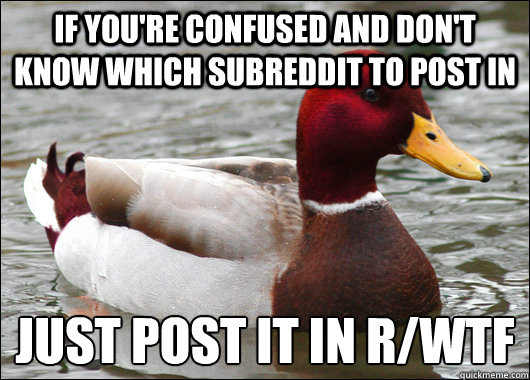 If you're confused and don't know which subreddit to post in Just post it in r/WTF
 - If you're confused and don't know which subreddit to post in Just post it in r/WTF
  Misc