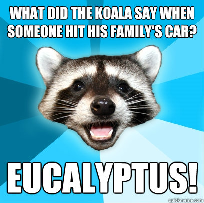 What did the koala say when someone hit his family's car? Eucalyptus!  Lame Pun Coon