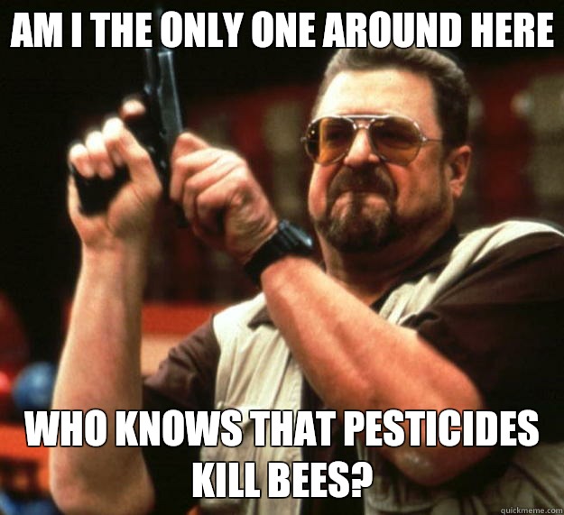 Am I the only one around here Who knows that pesticides kill bees?  Big Lebowski