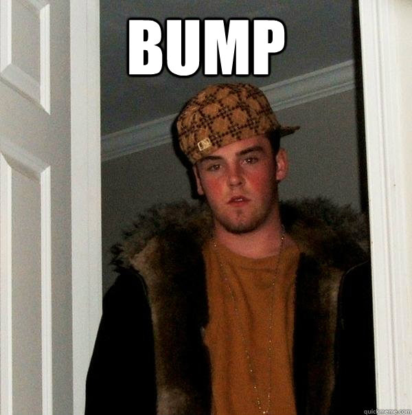 Bump   Scumbag Steve