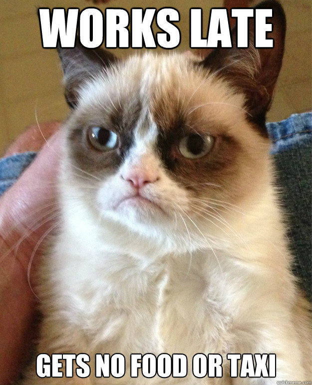 Works late Gets no food or taxi
  Grumpy Cat