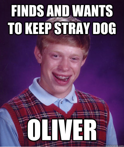 Finds and wants to keep stray dog Oliver  Bad Luck Brian