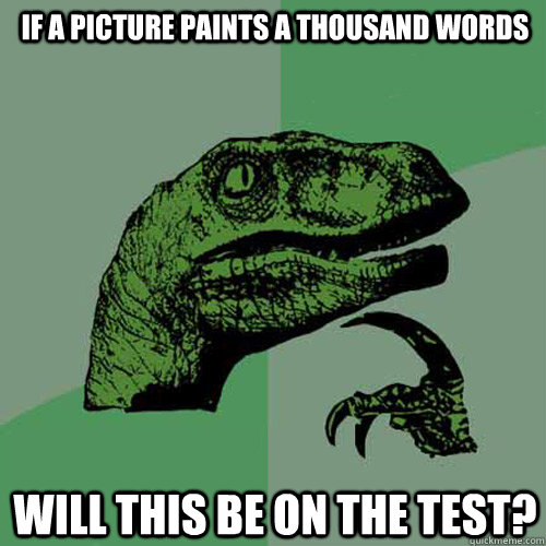 If a picture paints a thousand words Will this be on the test? - If a picture paints a thousand words Will this be on the test?  Philosoraptor
