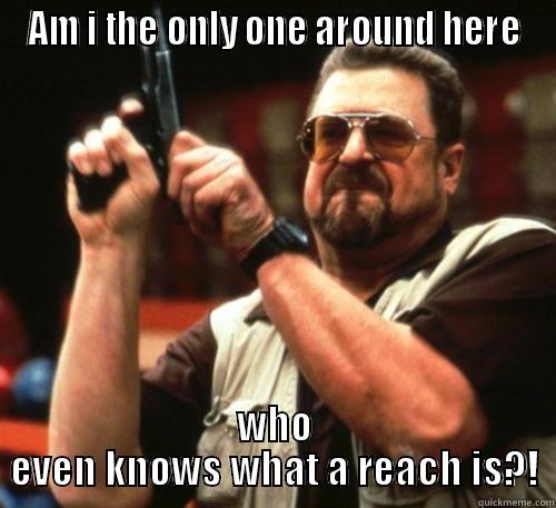 AM I THE ONLY ONE AROUND HERE WHO EVEN KNOWS WHAT A REACH IS?! Am I The Only One Around Here