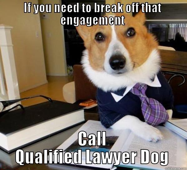 bros engage - IF YOU NEED TO BREAK OFF THAT ENGAGEMENT CALL QUALIFIED LAWYER DOG Lawyer Dog