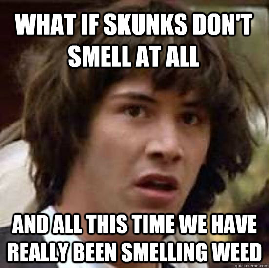 What if skunks don't smell at all  and all this time we have really been smelling weed  conspiracy keanu