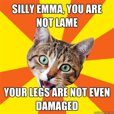 Silly Emma, you are not lame your legs are not even damaged  Bad Advice Cat