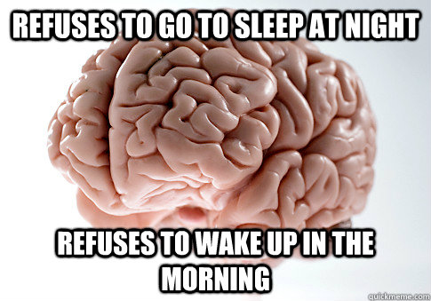 Refuses to go to sleep at night Refuses to wake up in the morning  Scumbag Brain