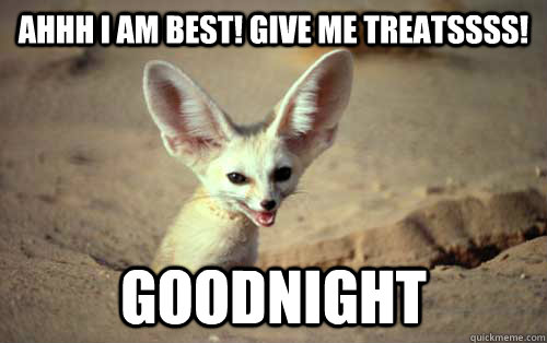 AHHH I AM BEST! GIVE ME TREATSSSS! goodnight - AHHH I AM BEST! GIVE ME TREATSSSS! goodnight  Technological Superiority Fennec