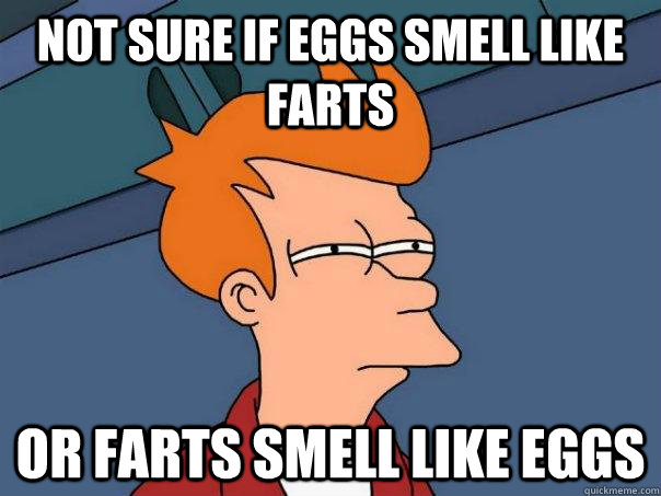 Not sure if eggs smell like farts Or farts smell like eggs  Futurama Fry