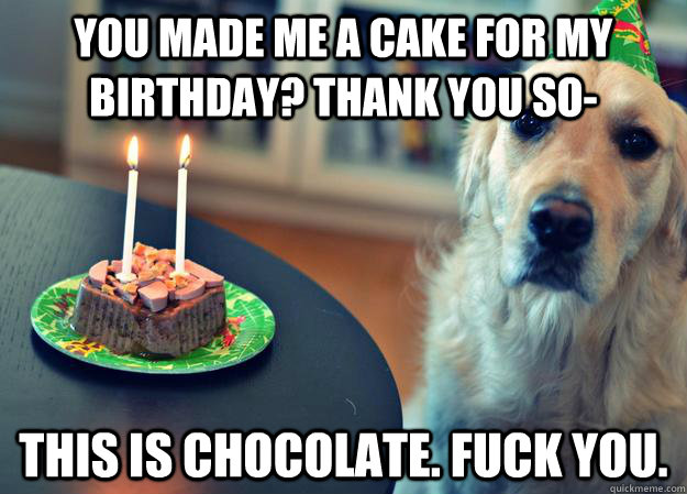 you made me a cake for my birthday? thank you so- this is chocolate. fuck you.  Sad Birthday Dog