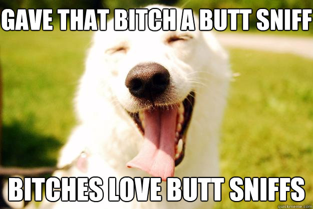 Gave that Bitch a butt sniff Bitches love butt sniffs  Happy dog