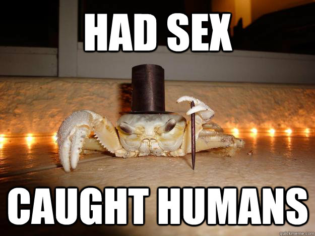 Had sex Caught humans  Fancy Crab