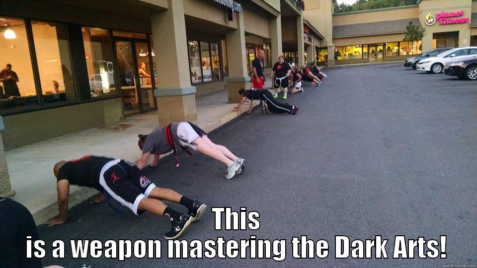   THIS IS A WEAPON MASTERING THE DARK ARTS! Misc