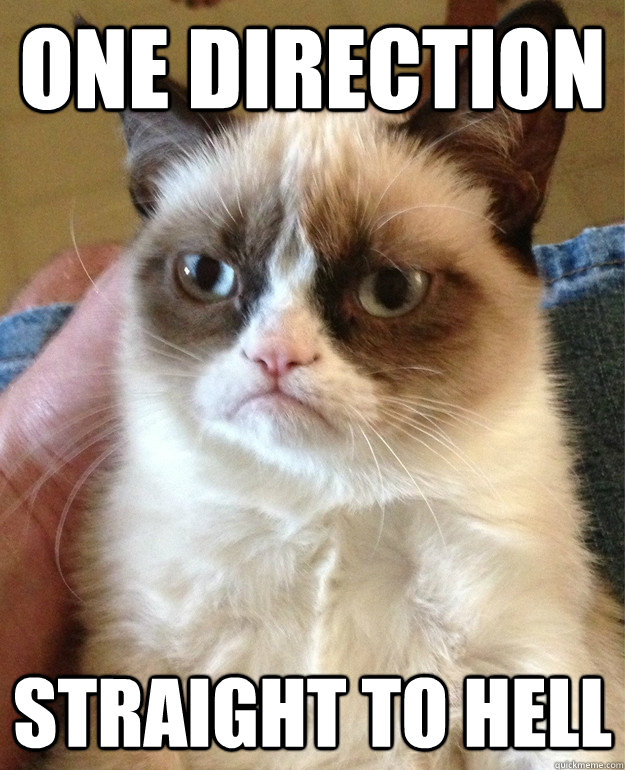 one direction straight to hell - one direction straight to hell  Misc