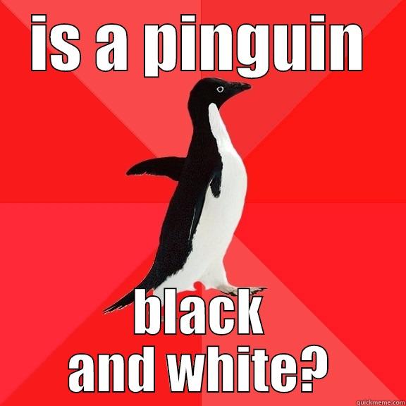 IS A PINGUIN BLACK AND WHITE? Socially Awesome Penguin