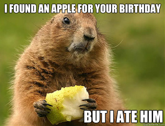 I found an apple for your birthday But I ate him  Birthday Marmot