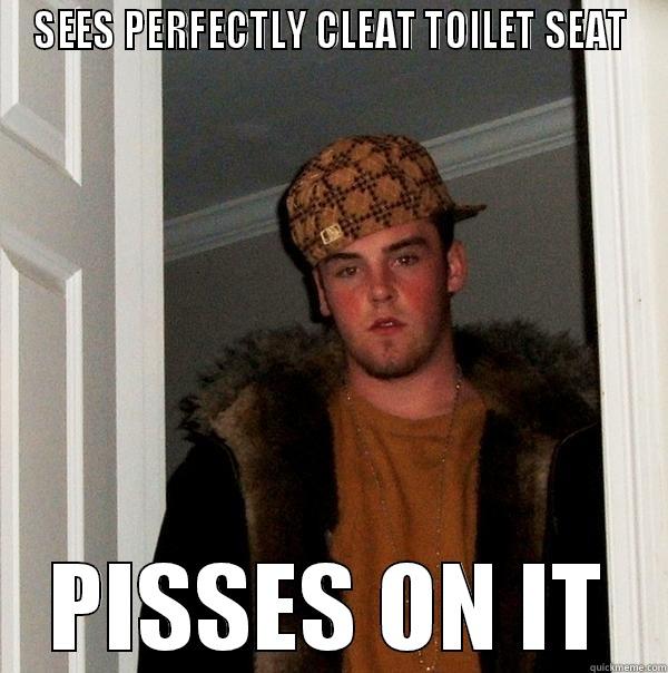 SEES PERFECTLY CLEAT TOILET SEAT PISSES ON IT Scumbag Steve