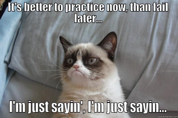 Duvall 3 - IT'S BETTER TO PRACTICE NOW, THAN FAIL LATER... I'M JUST SAYIN', I'M JUST SAYIN... Grumpy Cat