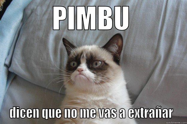 PIMBU DICEN QUE NO ME VAS A EXTRAÑAR  Grumpy Cat