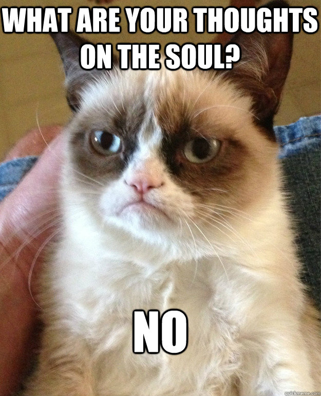 WHAT are your thoughts on THE SOUL? NO  Grumpy Cat