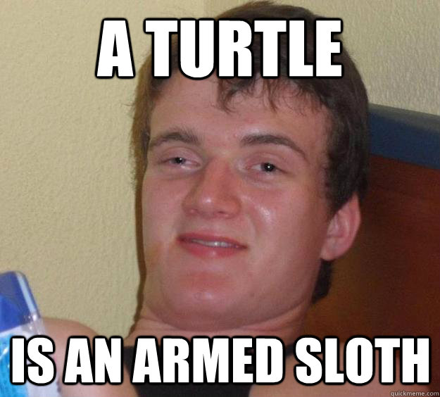 a turtle  is an armed sloth  10 Guy