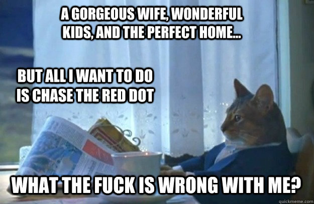 A gorgeous wife, wonderful kids, and the perfect home... But all I want to do is chase the red dot What the fuck is wrong with me?  Sophisticated Cat