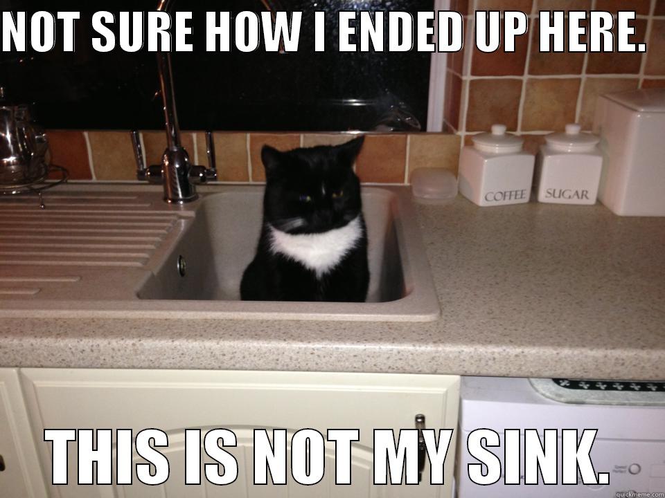 NOT SURE HOW I ENDED UP HERE.   THIS IS NOT MY SINK. Misc