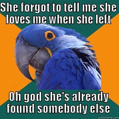 SHE FORGOT TO TELL ME SHE LOVES ME WHEN SHE LEFT OH GOD SHE'S ALREADY FOUND SOMEBODY ELSE Paranoid Parrot