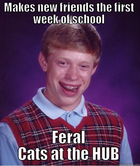 MAKES NEW FRIENDS THE FIRST WEEK OF SCHOOL FERAL CATS AT THE HUB Bad Luck Brian