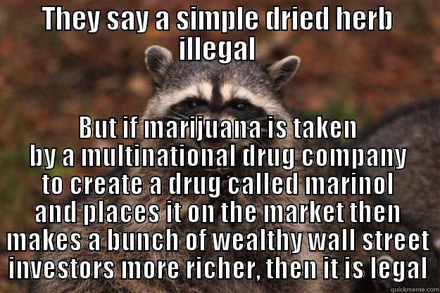 THEY SAY A SIMPLE DRIED HERB ILLEGAL BUT IF MARIJUANA IS TAKEN BY A MULTINATIONAL DRUG COMPANY TO CREATE A DRUG CALLED MARINOL AND PLACES IT ON THE MARKET THEN MAKES A BUNCH OF WEALTHY WALL STREET INVESTORS MORE RICHER, THEN IT IS LEGAL Evil Plotting Raccoon