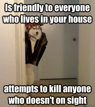 Is friendly to everyone who lives in your house attempts to kill anyone who doesn't on sight  Scumbag dog