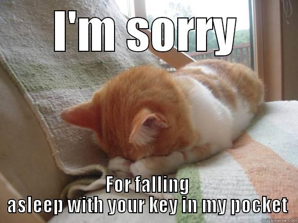 I'M SORRY FOR FALLING ASLEEP WITH YOUR KEY IN MY POCKET Misc