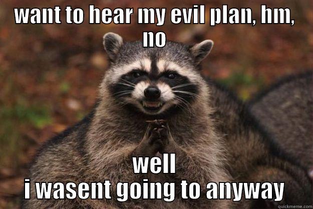 WANT TO HEAR MY EVIL PLAN, HM, NO WELL I WASENT GOING TO ANYWAY Evil Plotting Raccoon