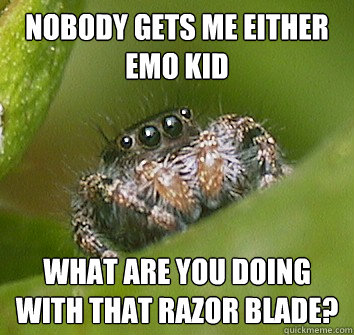 Nobody gets me either emo kid What are you doing with that razor blade?  Misunderstood Spider