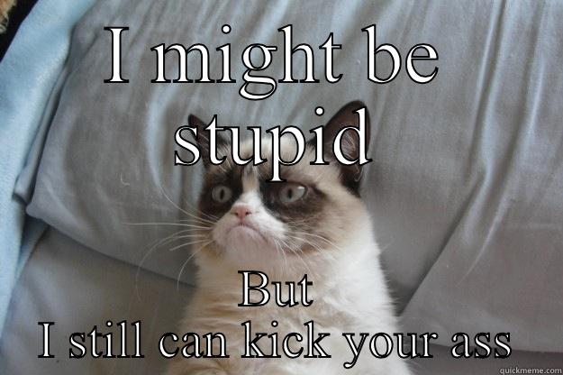 The things I say to people  - I MIGHT BE STUPID BUT I STILL CAN KICK YOUR ASS Grumpy Cat