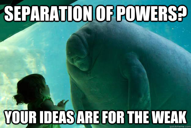 Separation of powers? Your ideas are for the weak  Overlord Manatee