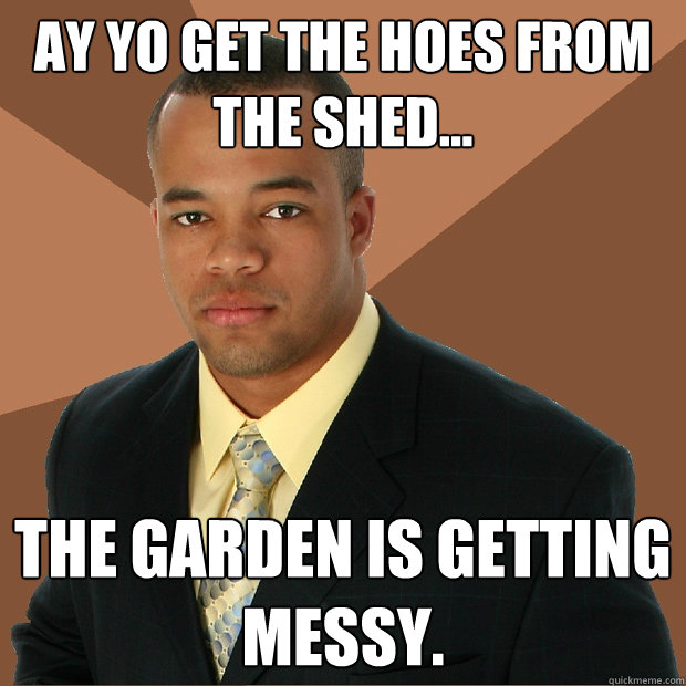 Ay yo get the hoes from the shed... The garden is getting messy.  Successful Black Man