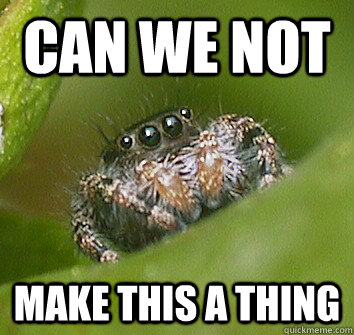 Can we not make this a thing  Misunderstood Spider