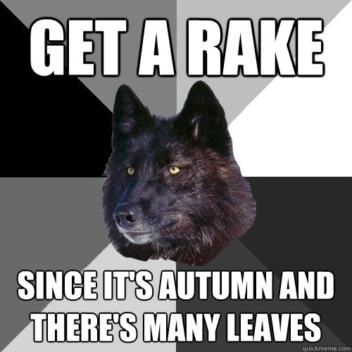 Get a rake since it's autumn and there's many leaves  Sanity Wolf