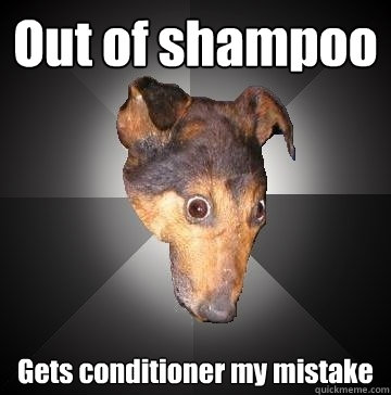 Out of shampoo Gets conditioner my mistake  Depression Dog