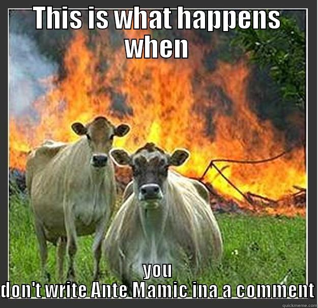 Ante mamić - THIS IS WHAT HAPPENS WHEN YOU DON'T WRITE ANTE MAMIC INA A COMMENT Evil cows