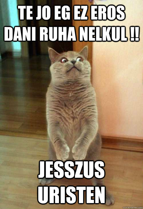 te jo eg ez eros dani ruha nelkul !! jesszus uristen  Horrorcat