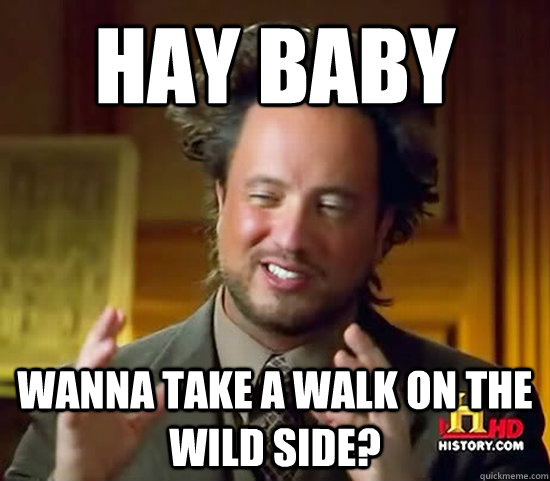 Hay baby wanna take a walk on the wild side? - Hay baby wanna take a walk on the wild side?  Ancient Aliens