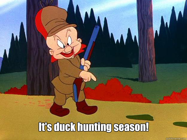  It's duck hunting season!  Elmer Fudd
