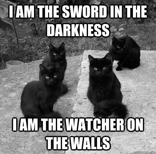 I am the sword in the darkness I am the watcher on the walls - I am the sword in the darkness I am the watcher on the walls  Nights Watch Kitties