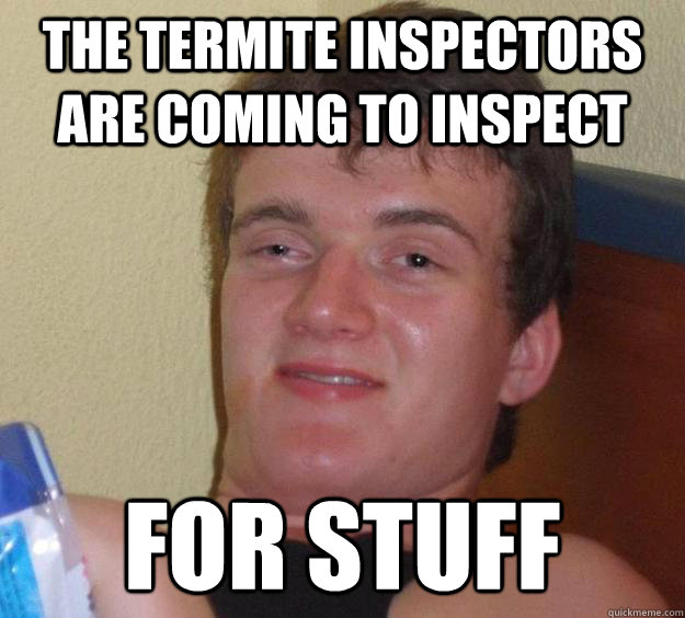 The termite inspectors are coming to inspect for stuff  10 Guy