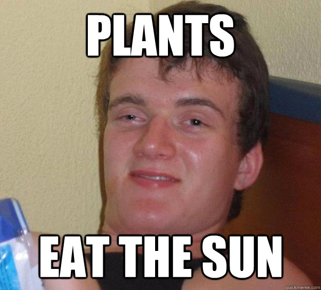 Plants Eat the sun  10 Guy